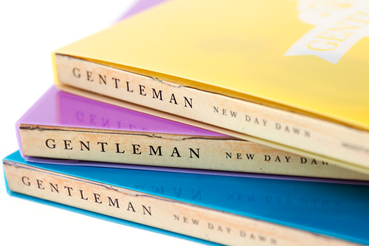 Gentleman. New Day Dawn. 4