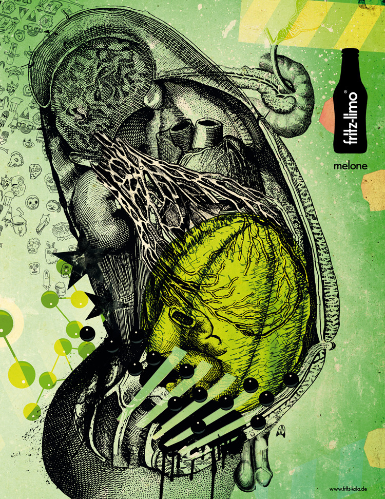 fritz-kola. Anatomie des Geschmacks. 4