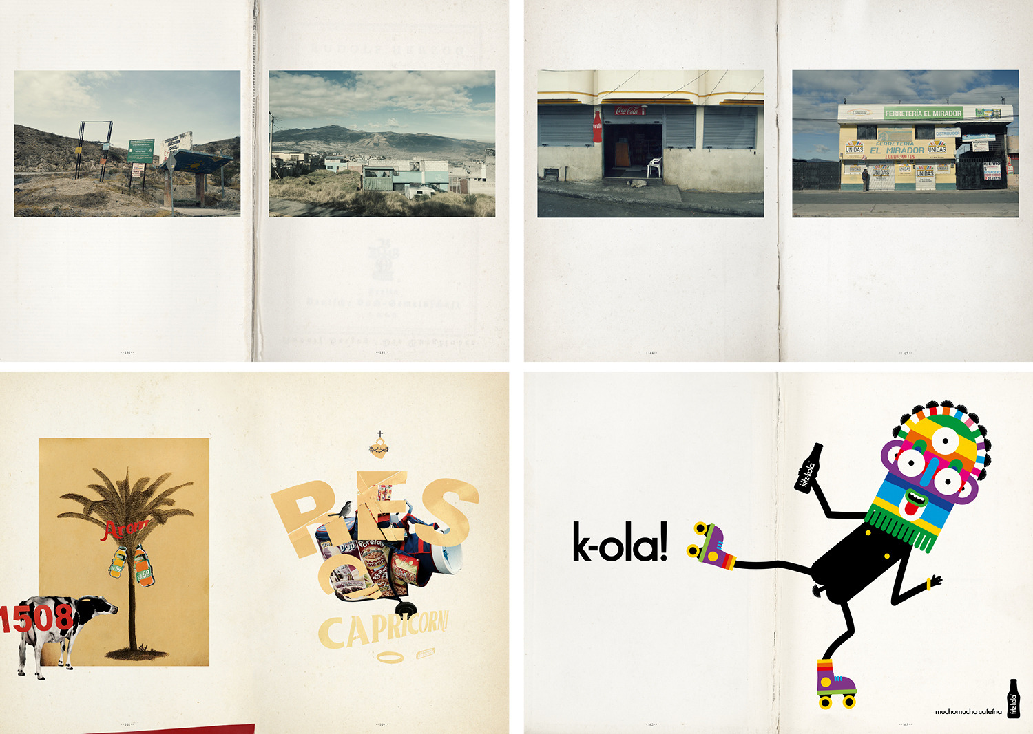 Whatever 9: Por Ecuadoor 31