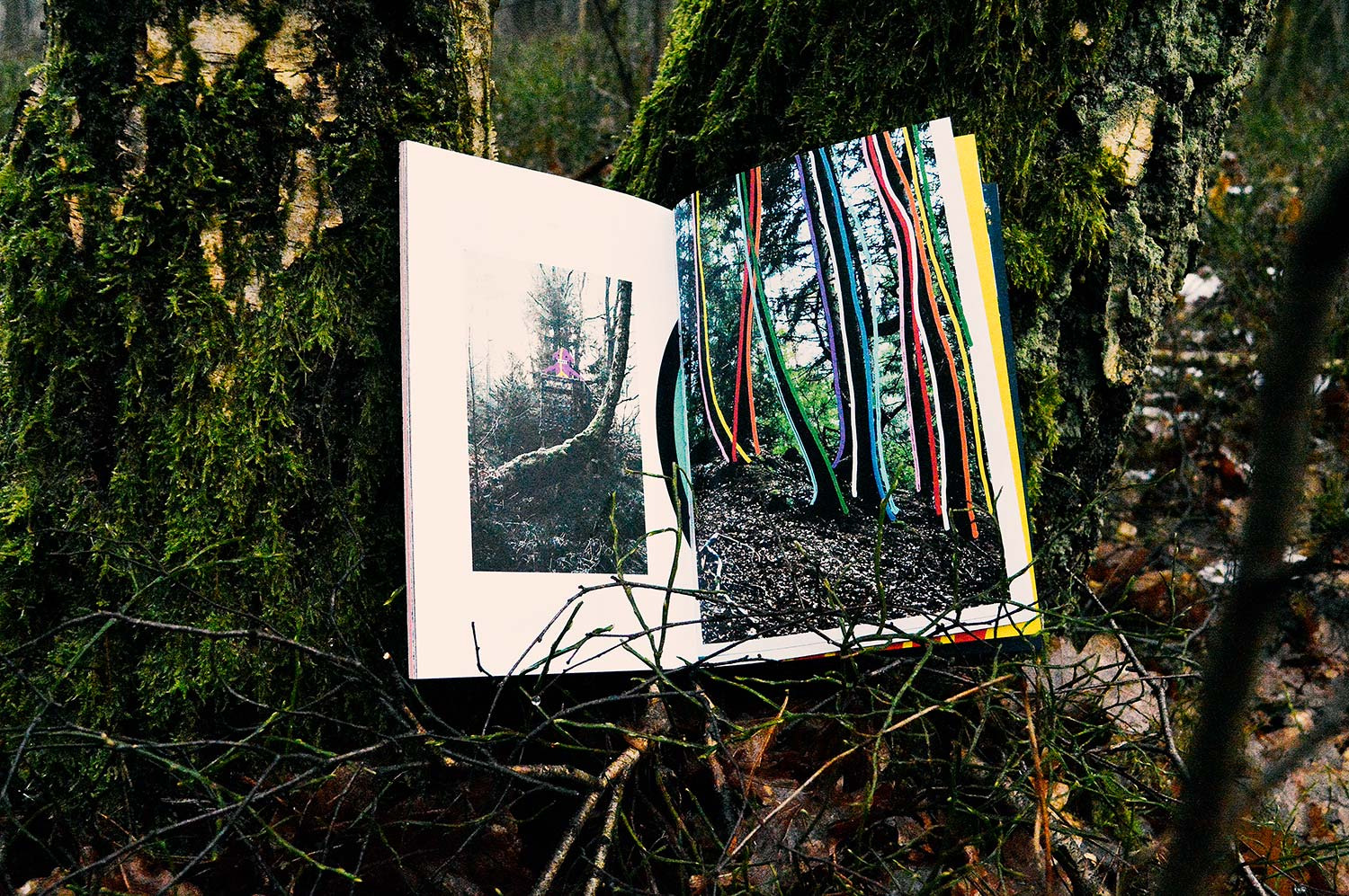 In The Woods. 12