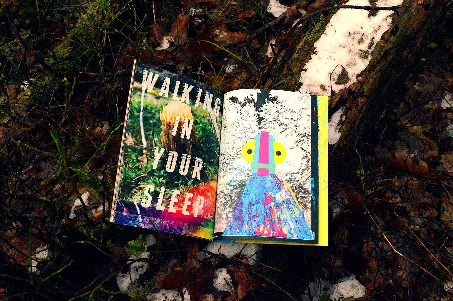 In The Woods. 18