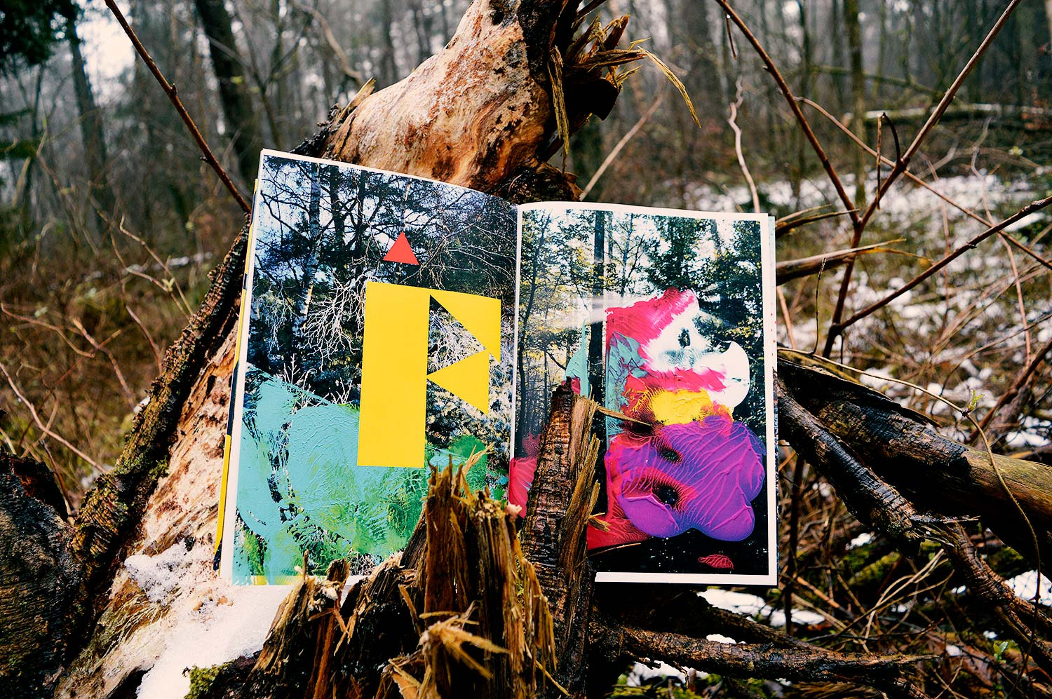 In The Woods. 26