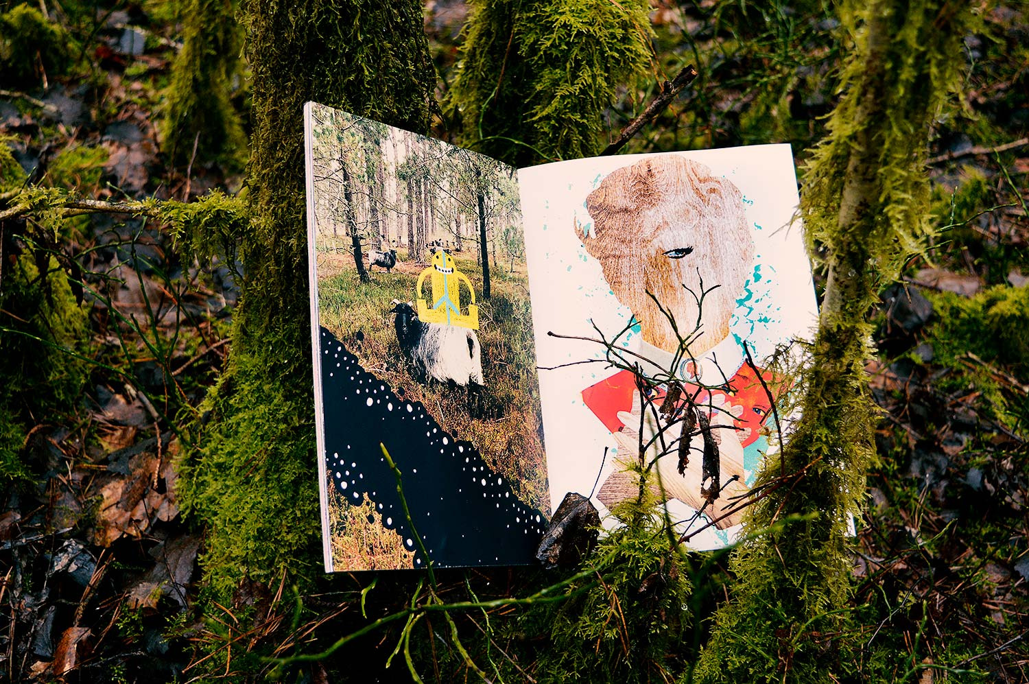 In The Woods. 16