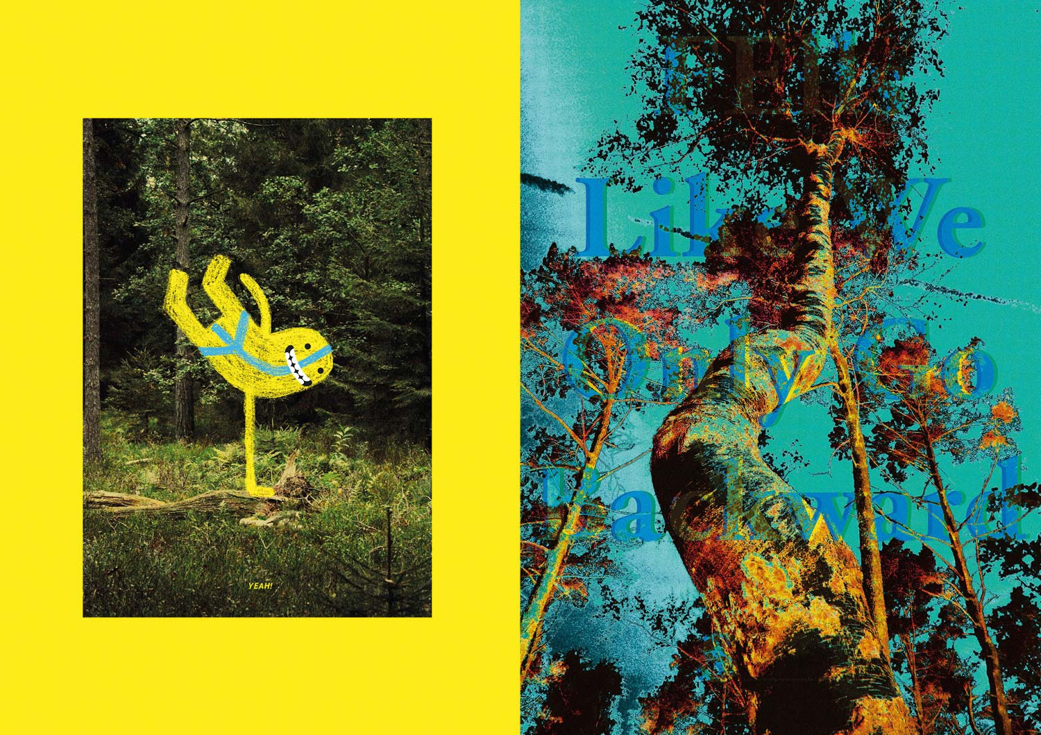 In The Woods. 6