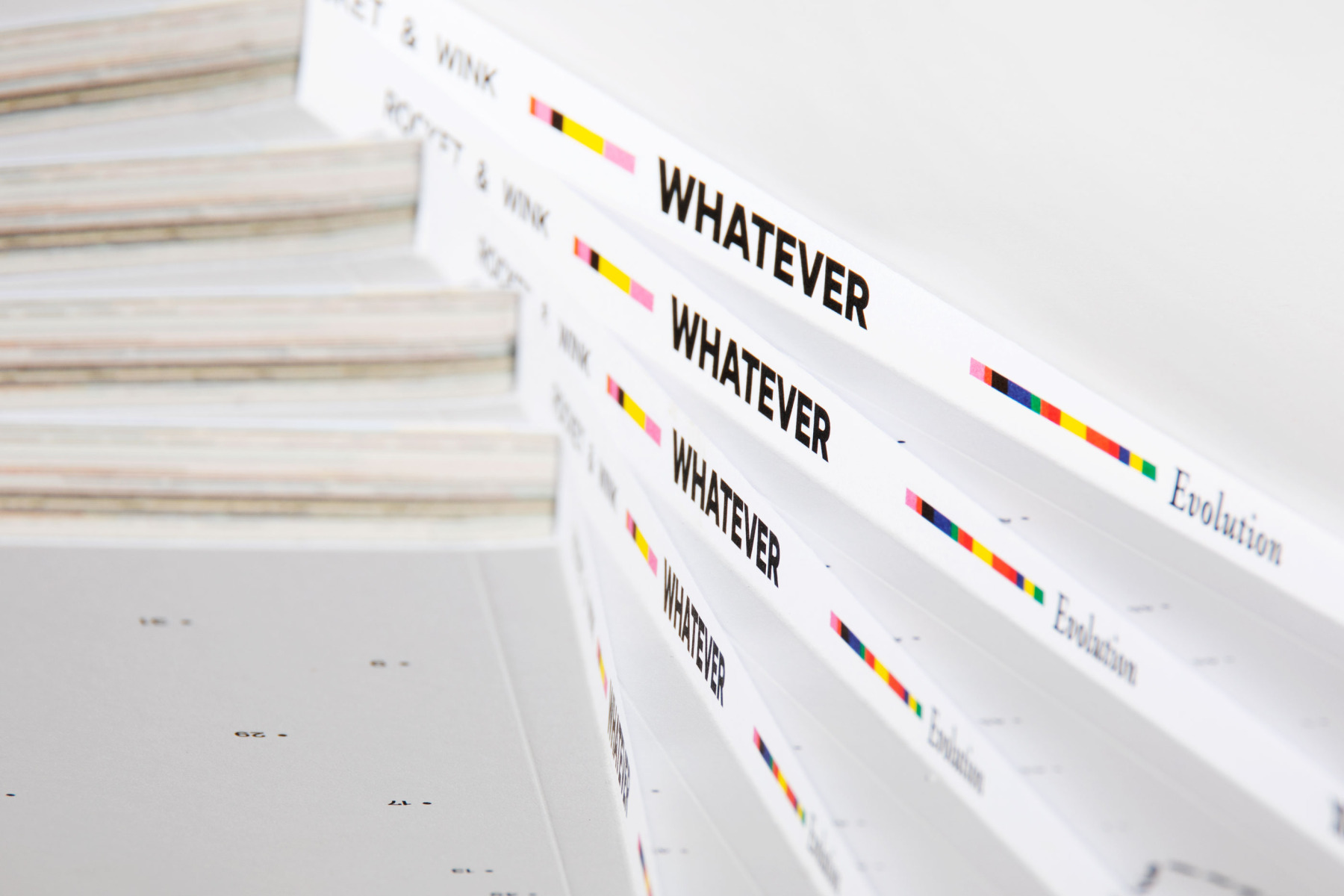 Whatever Evolution. Artbook. 35