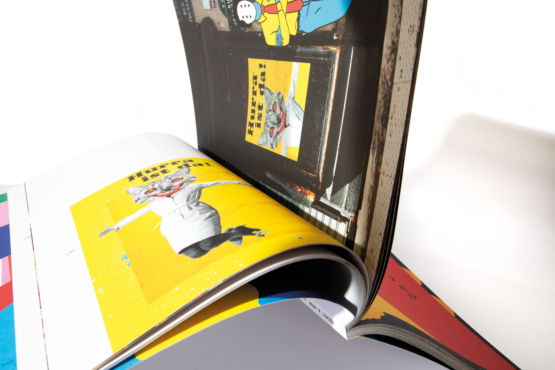 Whatever Evolution. Artbook. 14