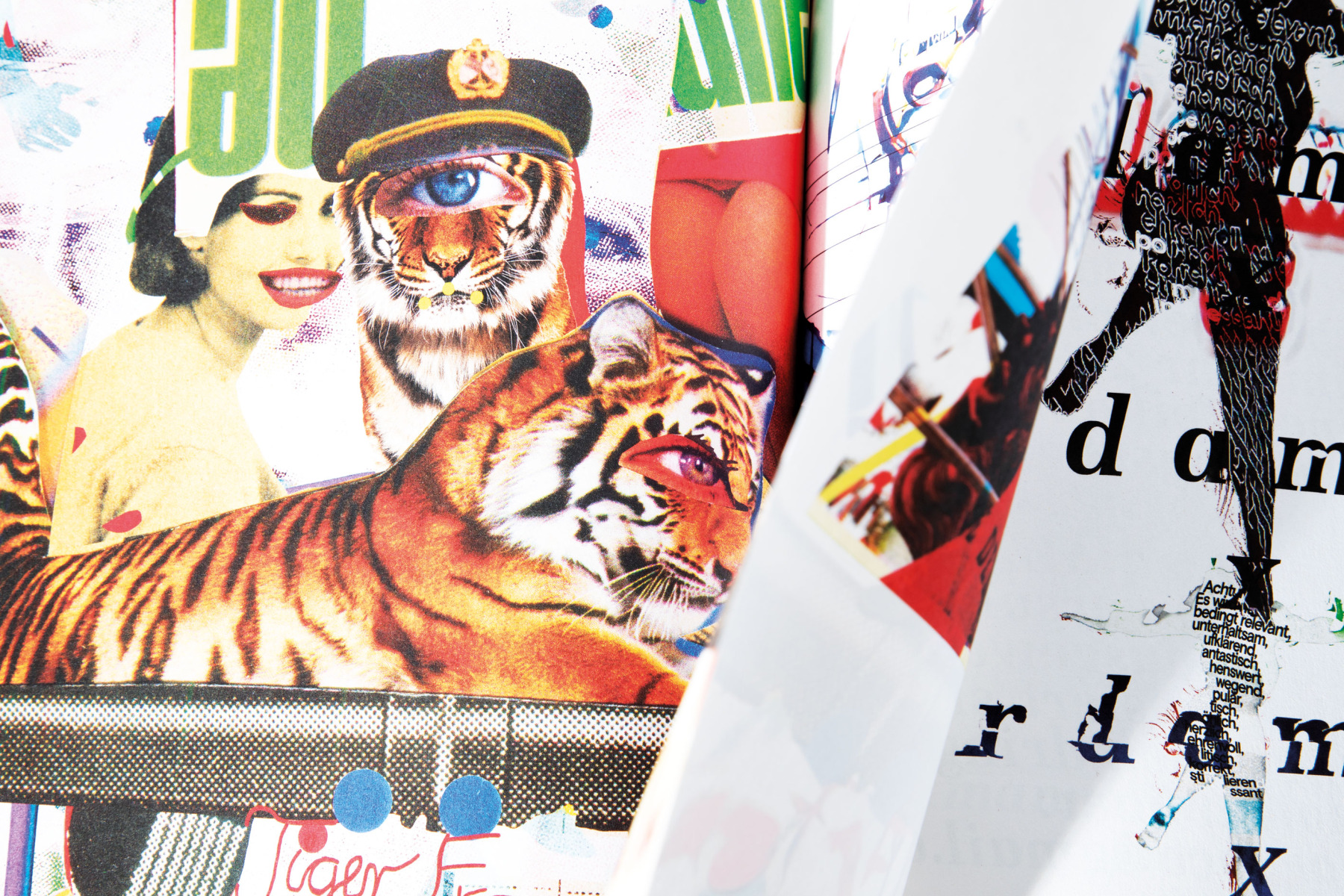 Whatever Evolution. Artbook. 20