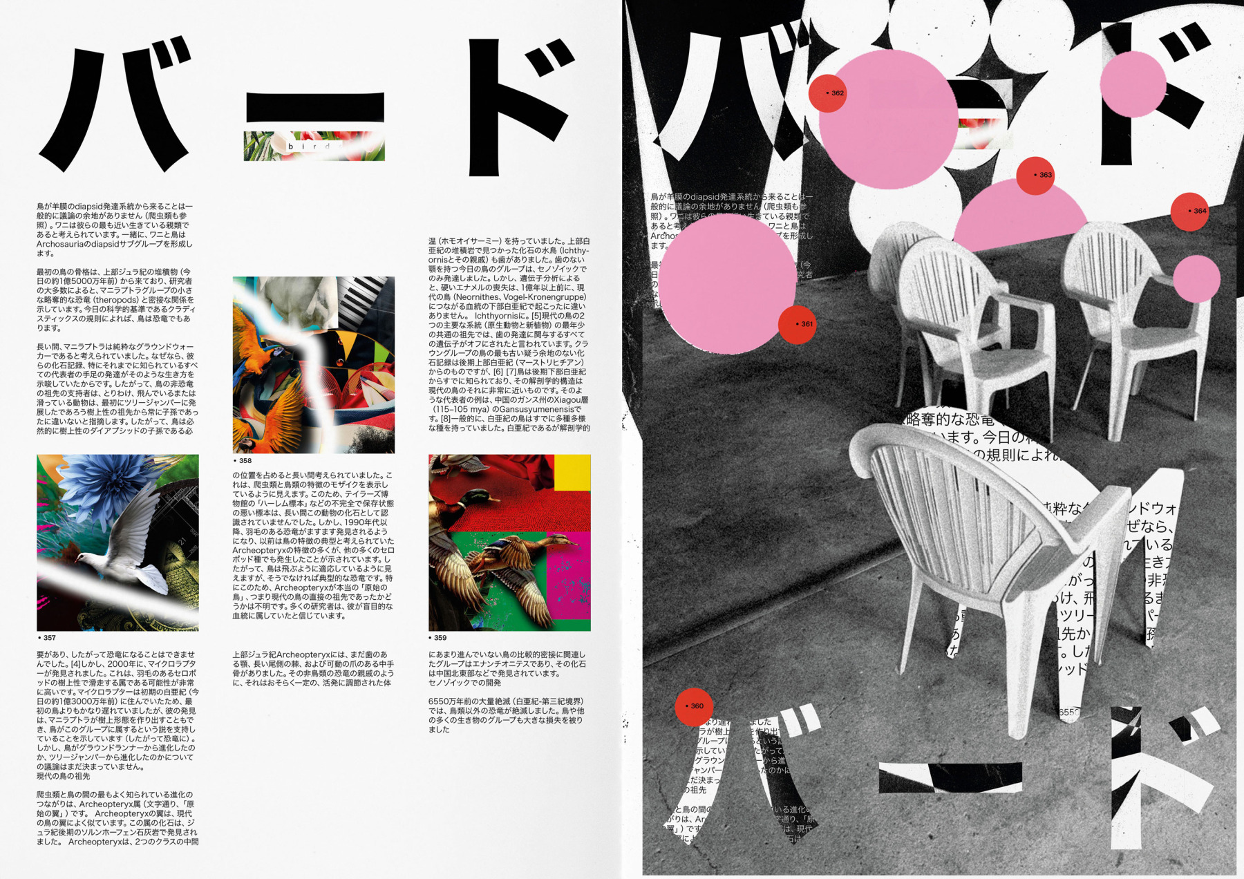 Whatever Evolution. Artbook. 27