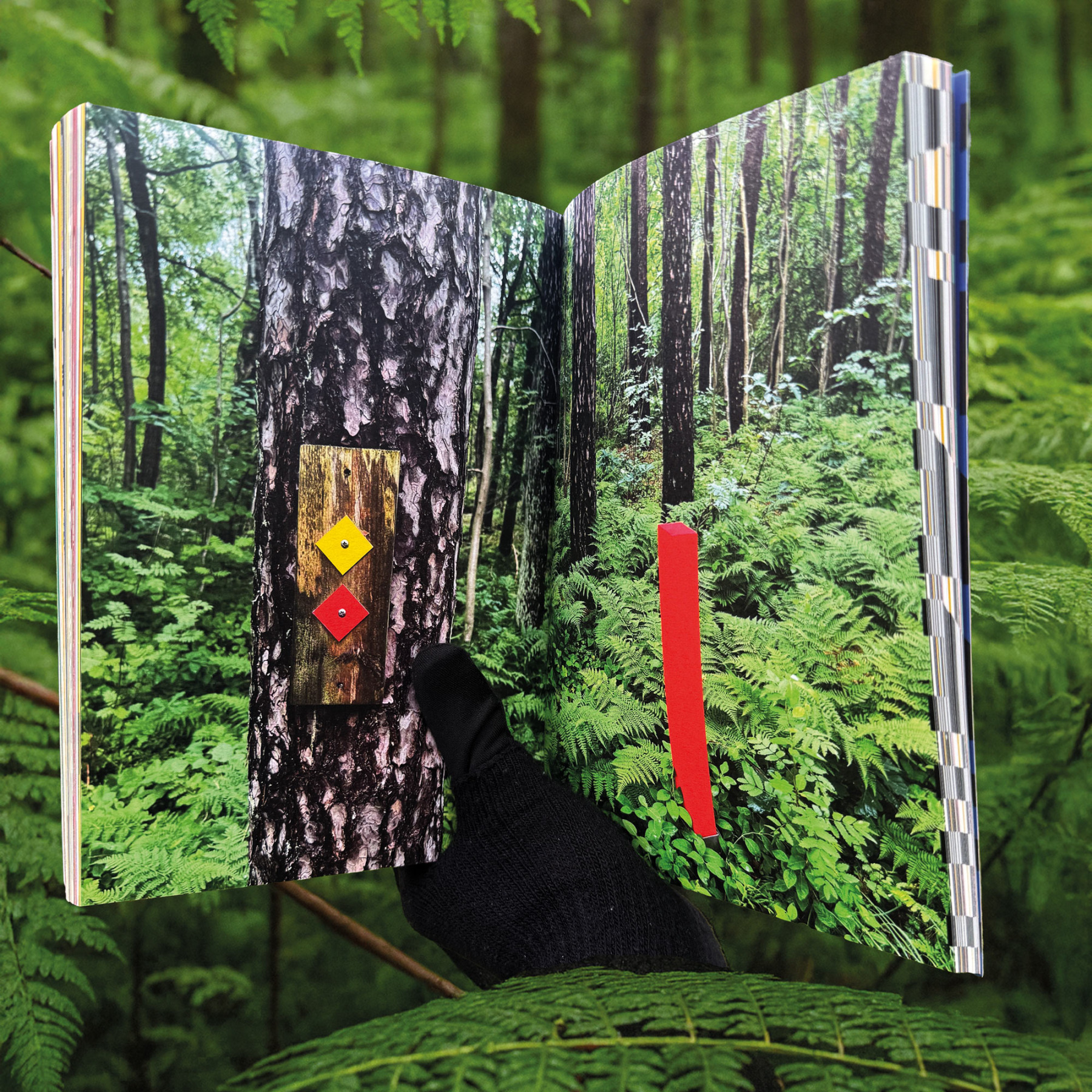 Mr Wink. A Wink from the Hidden. Artbook. 31