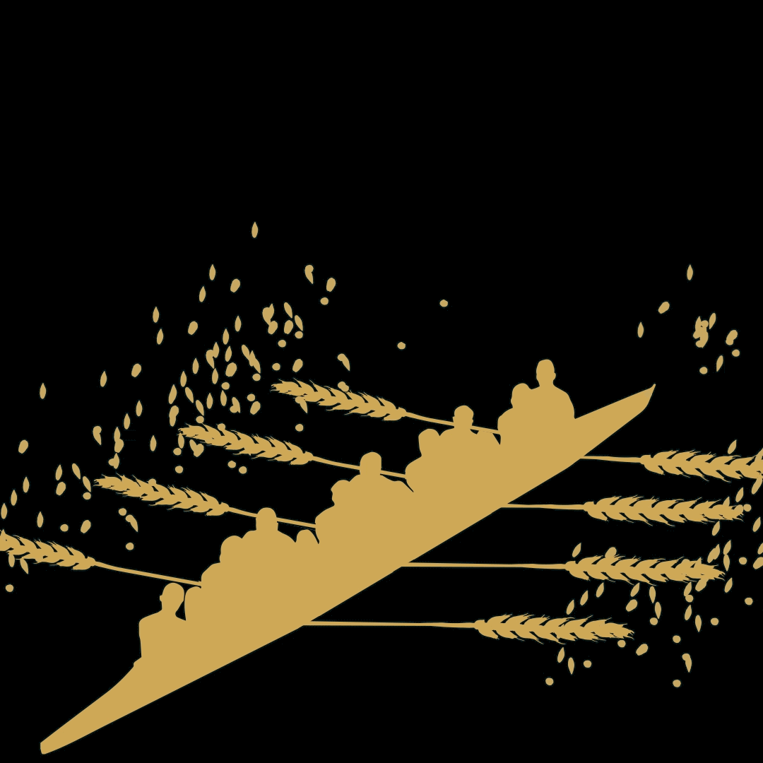 Grainli. Markenentwicklung. 4