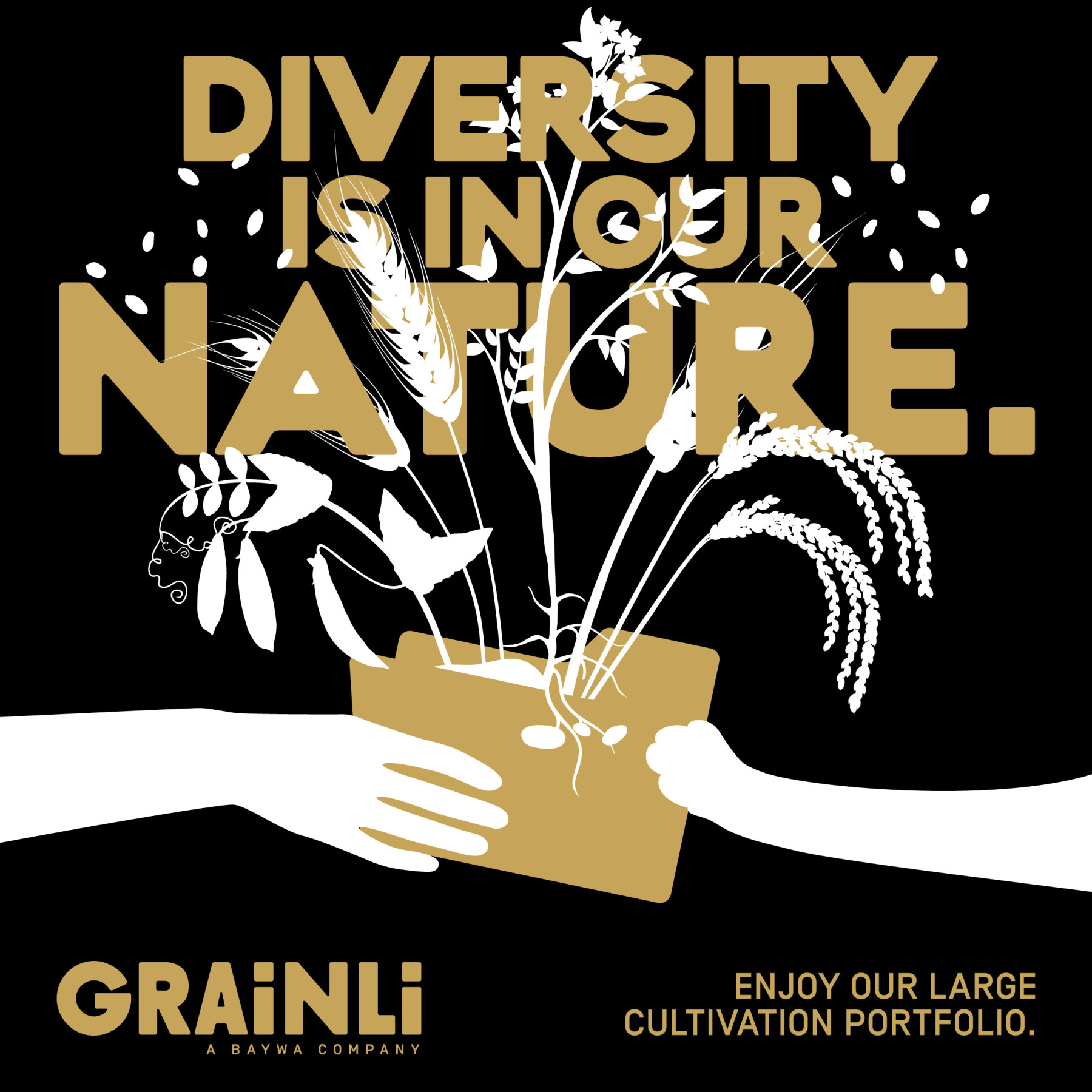 Grainli. Markenentwicklung. 21