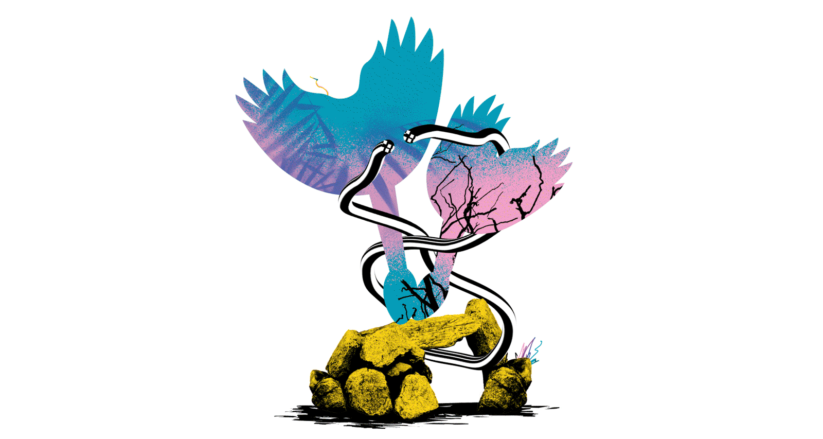 Ensemble Resonanz. Spielzeit 25/26 8