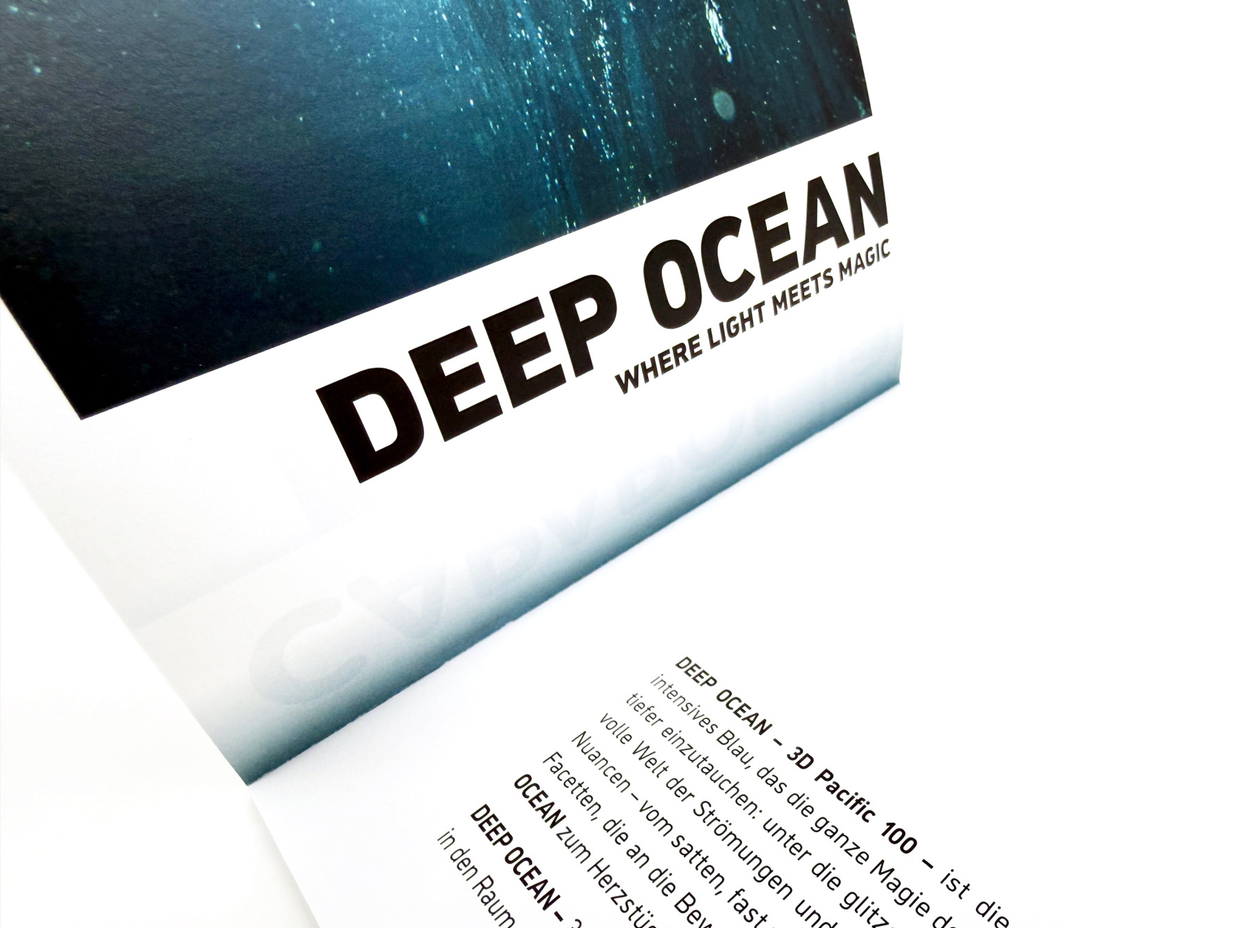 Caparol. Trend 2026. 8