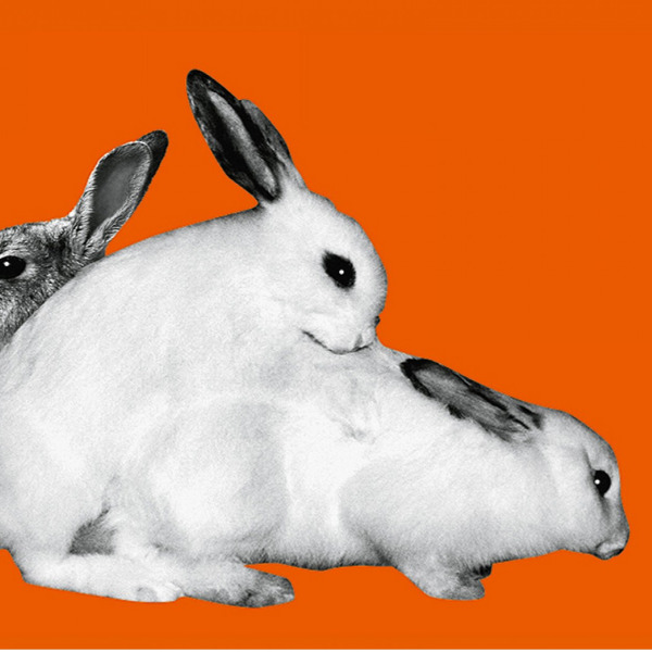  Aufgabenstellung: Kunst & Illustration | Kunde: Jägermeister | Jahr: 2014 | Projekt: Jägermeister. Wolfenbütteler Festspiele 2014.